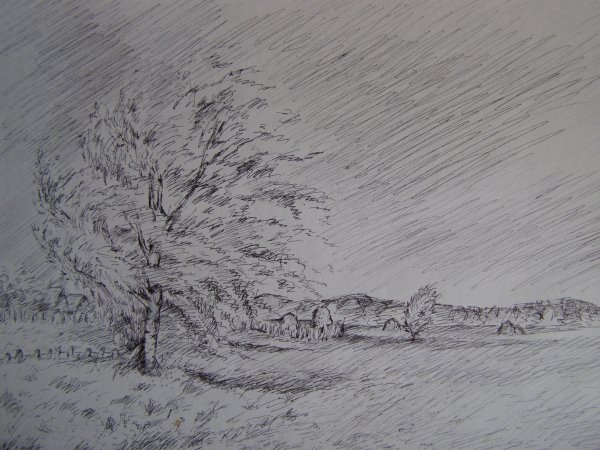 Зарисовка метель