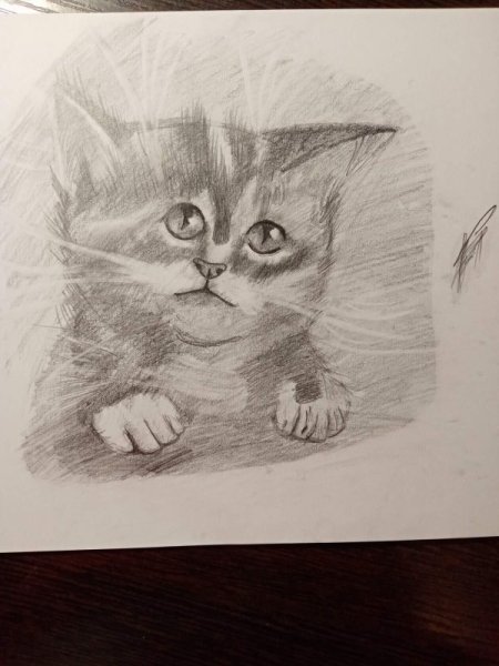 Хорошие рисунки