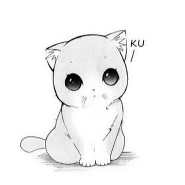 Аниме животные