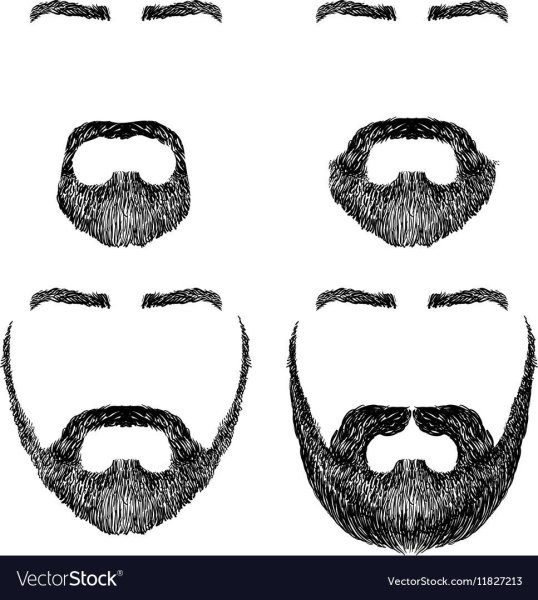 Контур бороды снизу