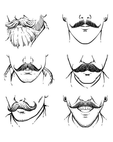 Контуры бороды на лице