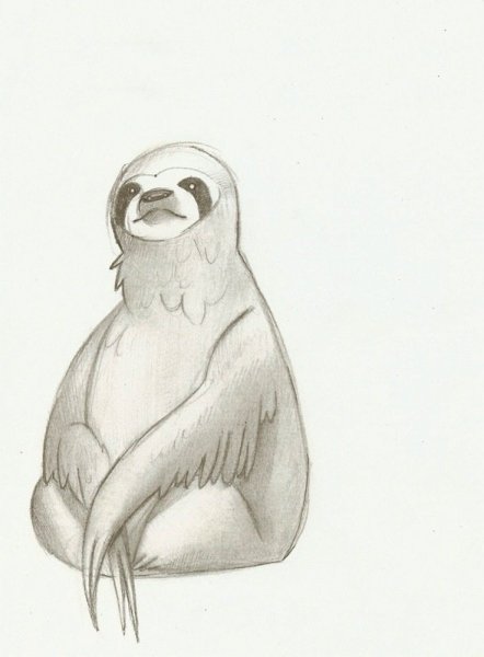 Ленивец скетч