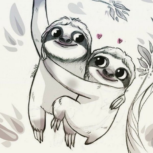 Ленивец рисунок карандашом