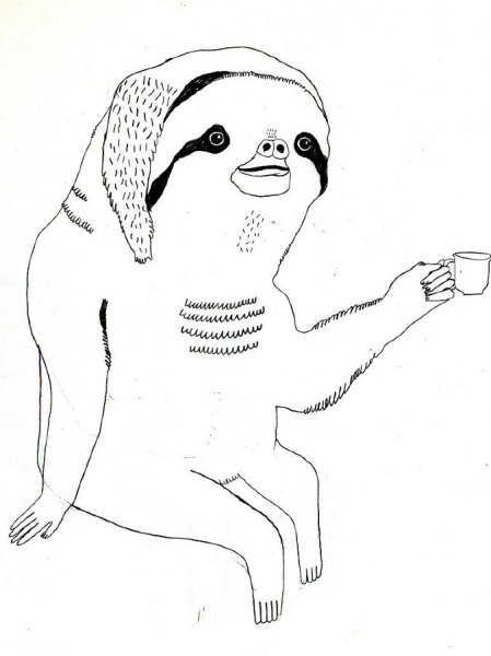 Ленивец рисунок карандашом
