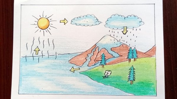 Круговорот воды в природе картинки