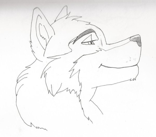 Фурри для срисовки карандашом