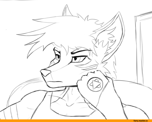 Фурри рисунки карандашом