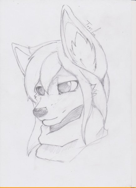 Картинки фурри для срисовки