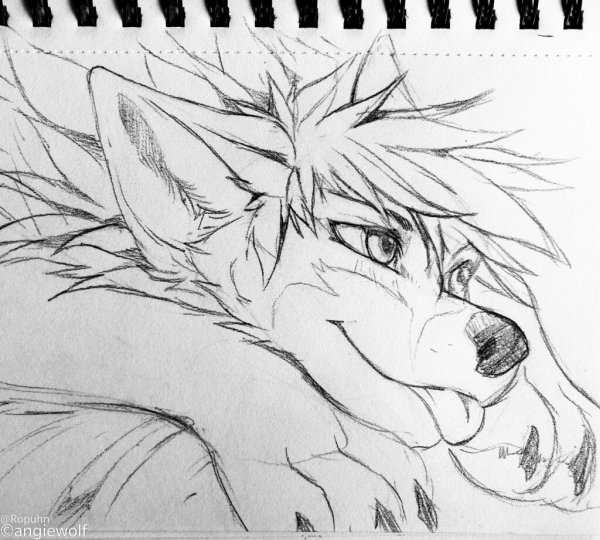 Фурри волк карандашом