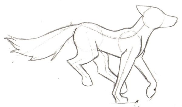 Аниме волки карандашом