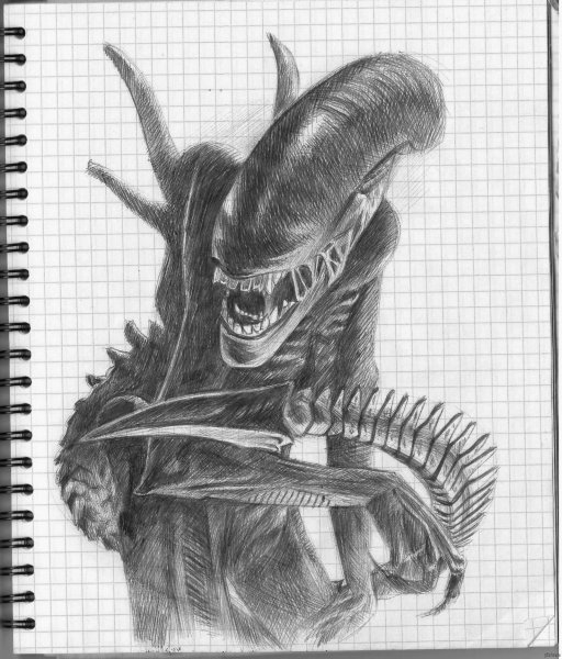 Чужой рисунок