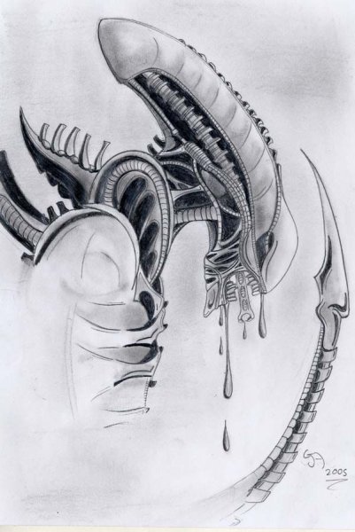 Зарисовки чужого