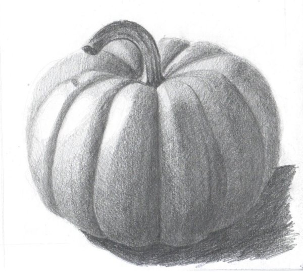 Овощи карандашом