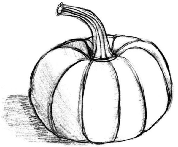 Тыква карандашом