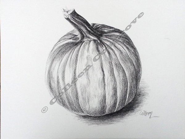 Натюрморт с тыквой карандашом