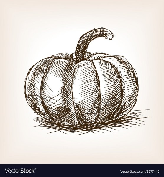 Тыква скетч