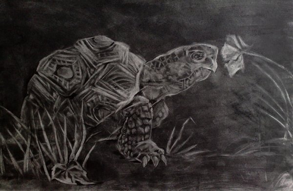 Рисование карандашом и ластиком