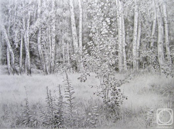 Трава эскиз