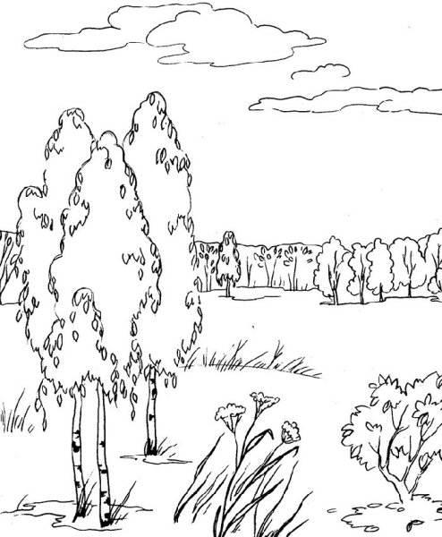 Поляна карандашом