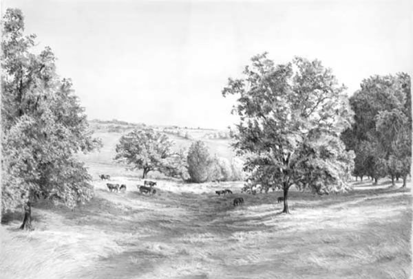 Степь рисунок карандашом