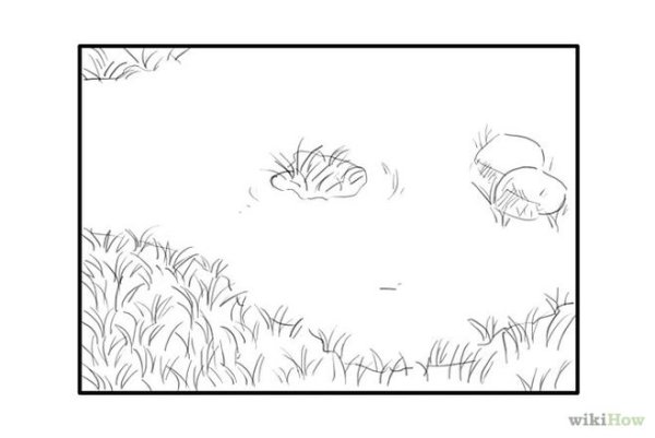 Раскраска природа для детей