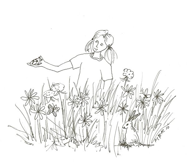 Поляна карандашом