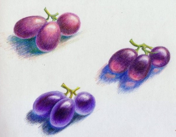 Ягоды цветными карандашами