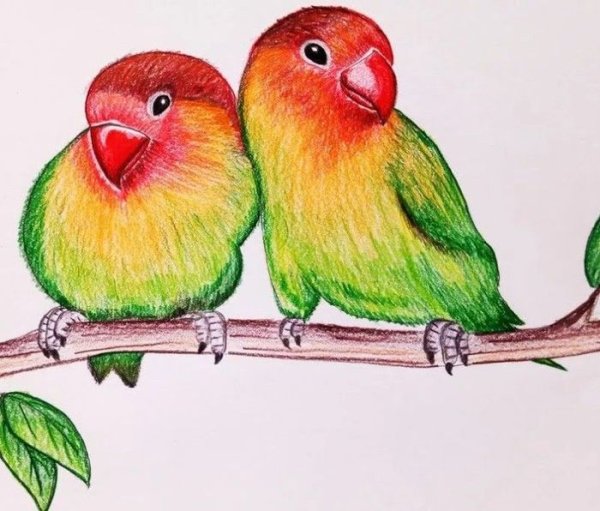 Несложные рисунки цветными карандашами