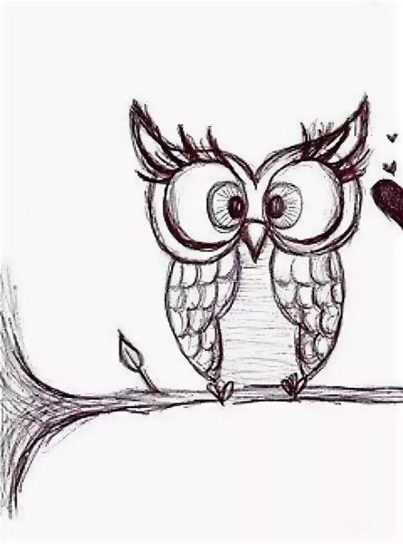 Сова рисунок