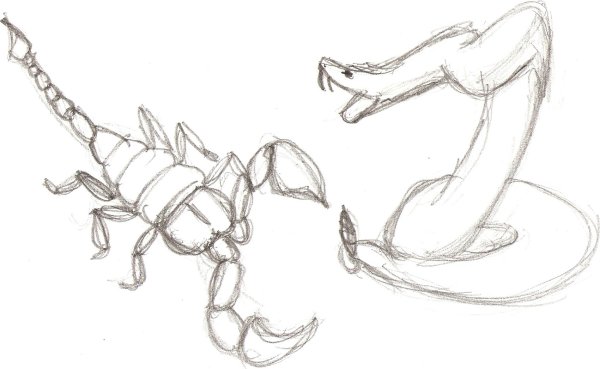 Рисунки скорпиона карандашом для срисовки