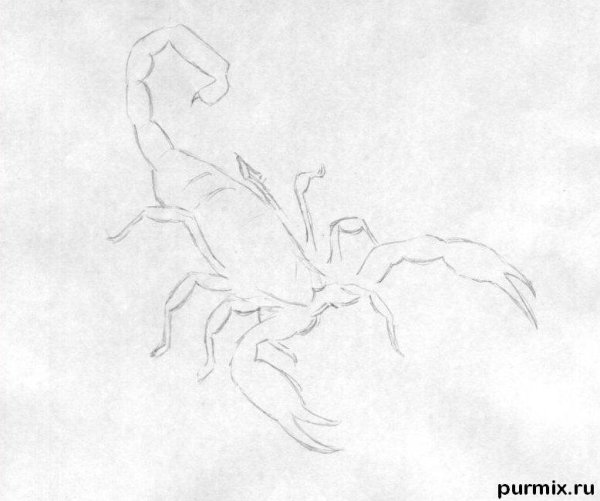 Скорпион рисунок карандашом для начинающих