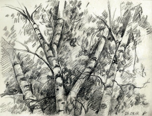 Стилизованная береза