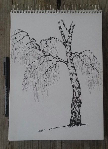 Поэтапное рисование дерева