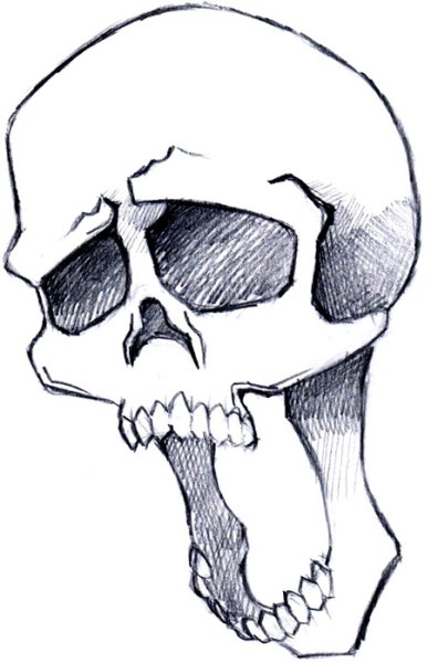 Рисунки карандашом черепа с розами