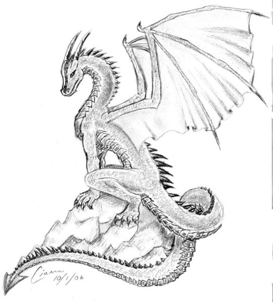 Рисунок дракона для срисовки