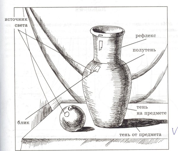 Этапы рисования натюрморта карандашом