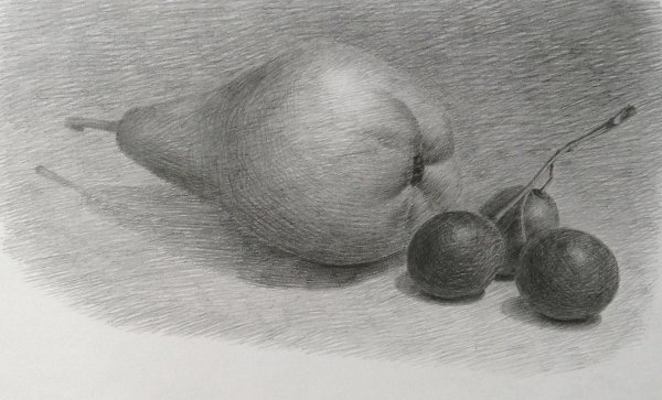 Натюрморт карандашом