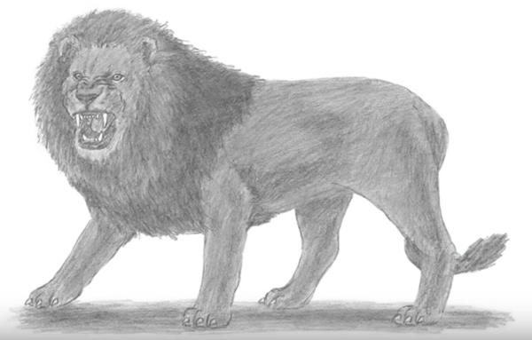 Лев рисунок для детей простой