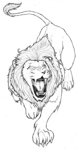 Нарисовать Льва карандашом