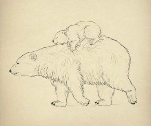 Картинки медведя для срисовки