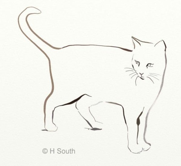 Контур кошки сбоку