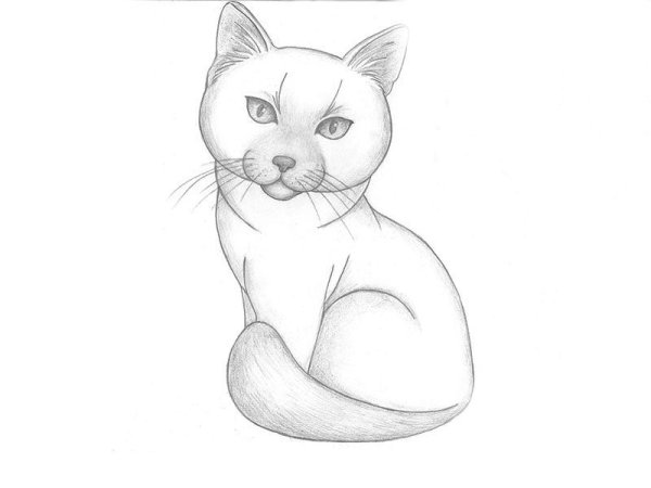 Кошечка с бантиком раскраска