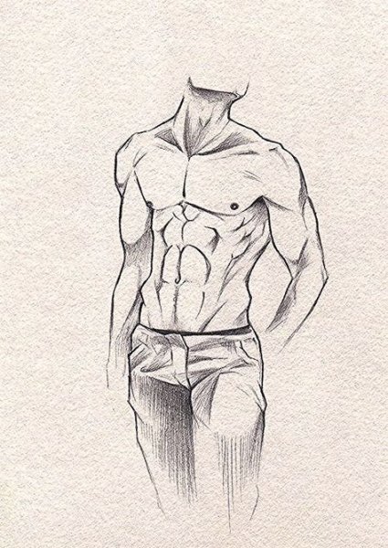 Мужской торс набросок