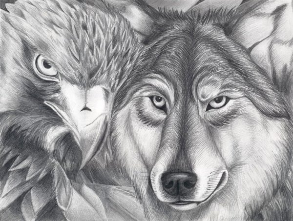 Рисунки карандашом для срисовки