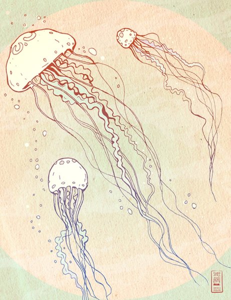 Медуза дотворк