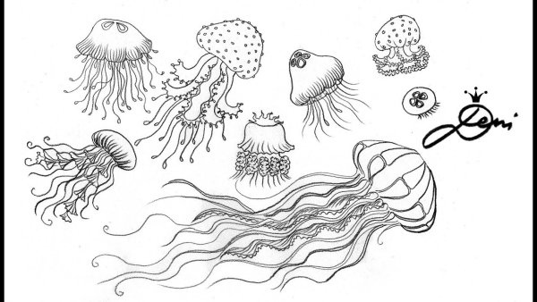 Медуза рисунок