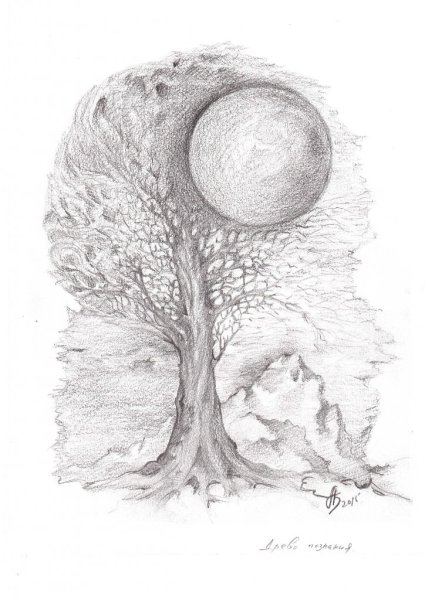 Рисование деревьев карандашом