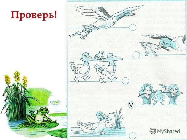 Лягушка путешественница задания к сказке