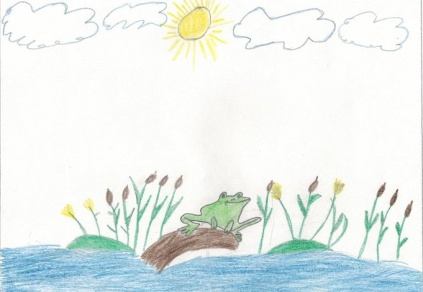 Рисунок к сказке лягушка путешественница