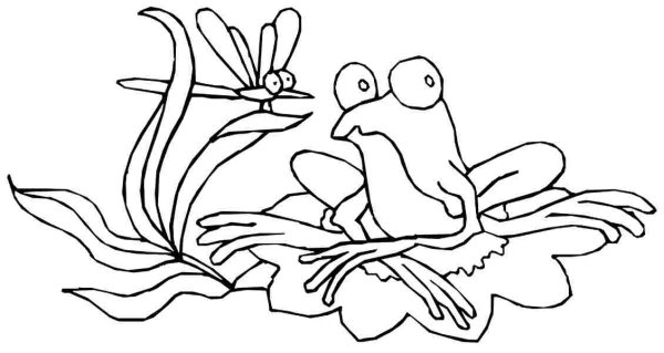 Лягушка путешественница разукрашка
